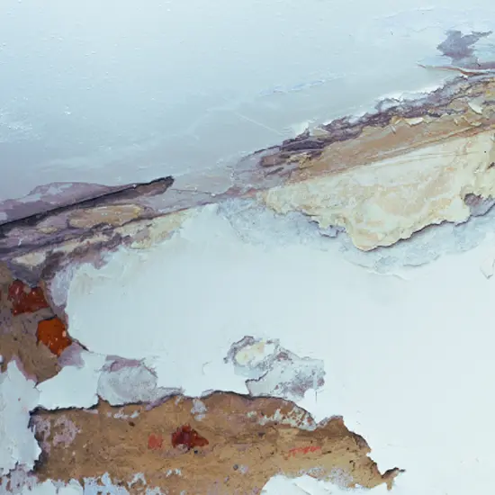 Home water leak detection services | Waterleak