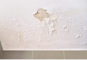 Wall & Ceiling leakage detection | Waterleak