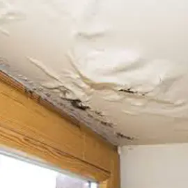 Ceiling Water Leakage Solution | Waterleak
